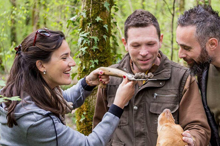 Livade: Guided Truffle Hunting Walking Tour