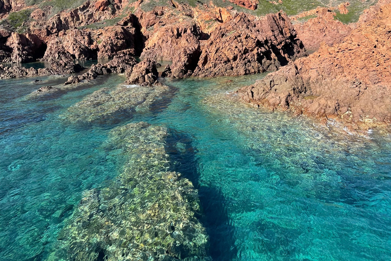 Da Sagone/Cargèse: Tour in barca di Capo Rosso, Piana e ScandolaPartenza da Sagone