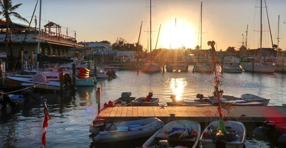 Key West Jimmy Buffet Walking Tour with Key Lime Pie GetYourGuide