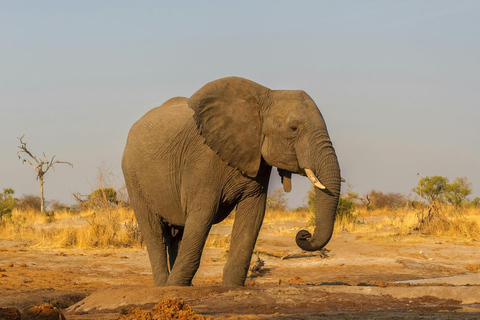 Mombasa/Nairobi: 3-Day Tsavo East & Amboseli Safari