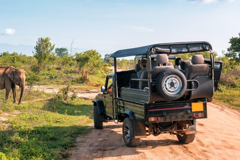 Wilpattu Safari With High-Probability Leopard Tracking Tour