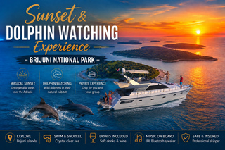 Pula:Brijuni Islands Sunset-Dolphin Watching-Private Yacht