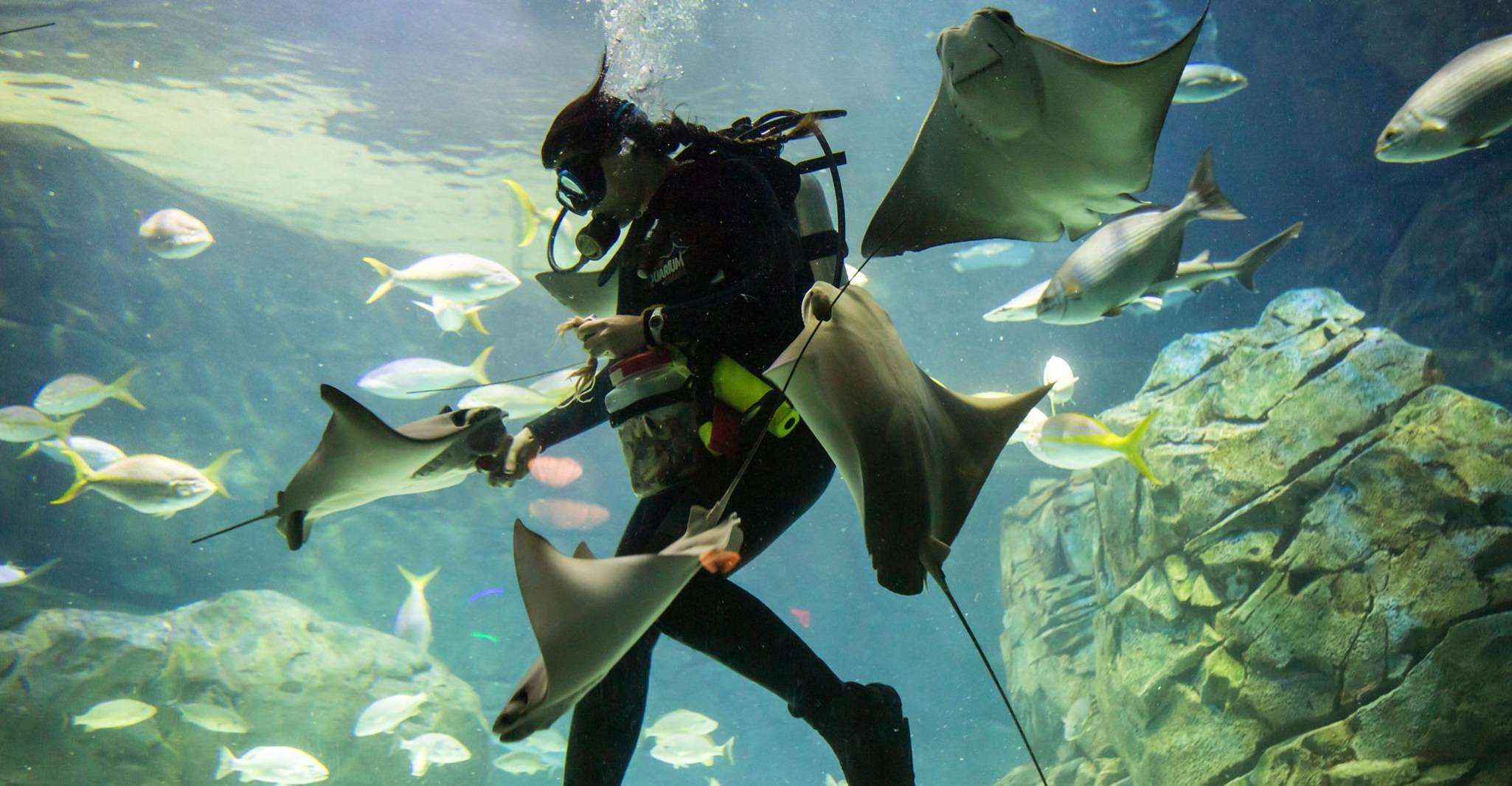 From Montreal: Toronto, Niagara Falls & 1000 Islands Tour photo 8