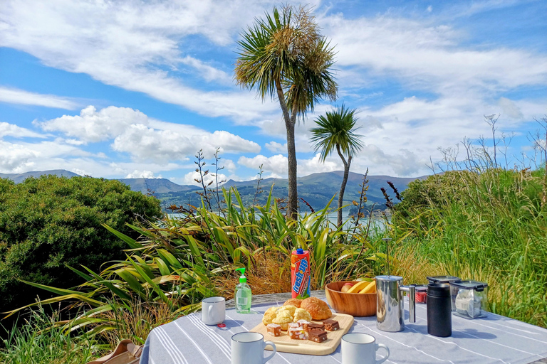 Kaikōura: Small Group Tour- optional Whale, Dolphin, Zipline Kaikōura Day Tour + Swim with Dolphins