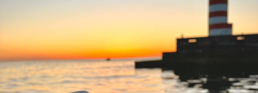 Porto TASTING Boat Tour : Les ponts, l'embouchure, le vin et la gastronomie