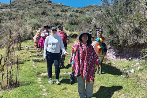 From Cusco: Sacred Valley Llama Walk & Local Family Visit
