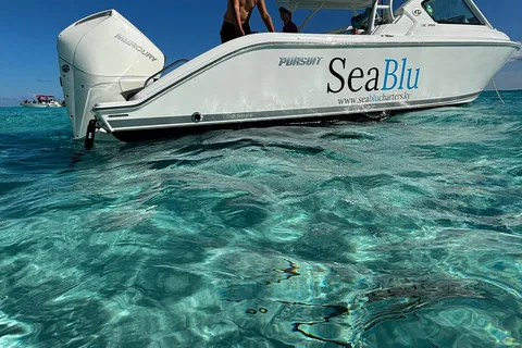 ECO Tour - Stingray City, Starfish Point and Snorkeling