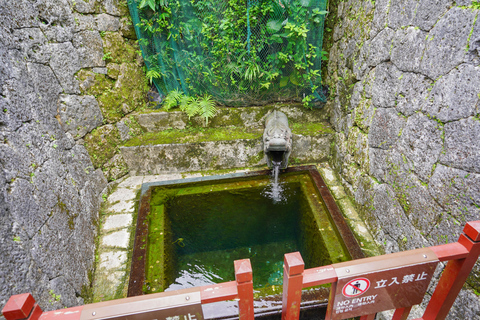 Naha: Okinawa Shuri Castle Peace Walking Tour