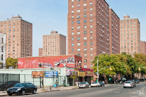 NYC Borough Tour Explore Manhattan, Bronx, Queens & Brooklyn Private group 1-5