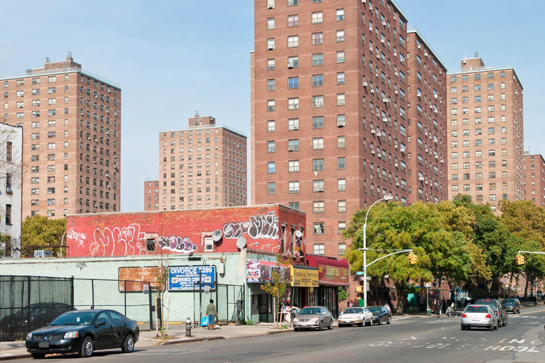 NYC Borough Tour Explore Manhattan, Bronx, Queens & Brooklyn Private group 1-5