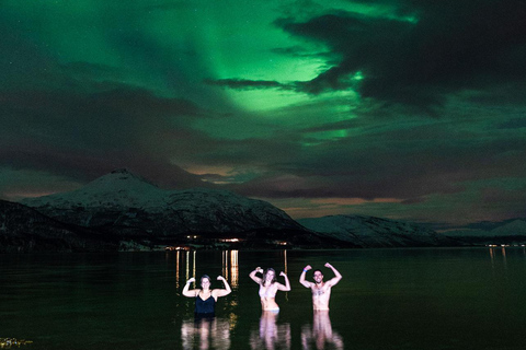 Tromsø: Northern Lights Tour with Photos and Hotel Transfer