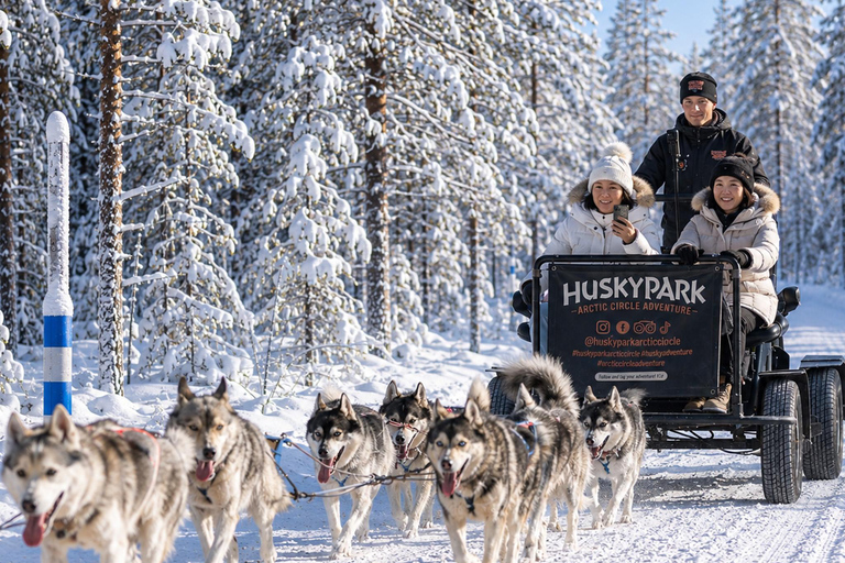 Rovaniemi: Your First Husky Sled Ride & Husky Farm Visit ⭐ 500m Husky Ride | Standard