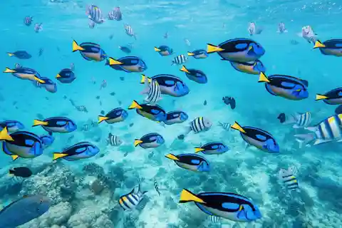 Zanzíbar 7 días Viaje de varios días con todo incluido a la playa y al mar