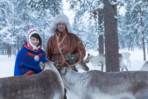 Från Rovaniemi: Besök på renfarm med slädtur