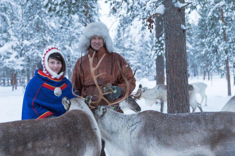 Da Rovaniemi: Visita alla fattoria delle renne con giro in slitta