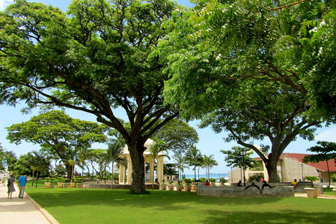 Zanzibar: Stone Town Walking Tour with Freddie Mercury …