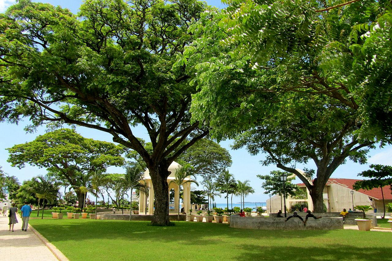 Zanzibar: Stone Town Walking Tour with Freddie Mercury …