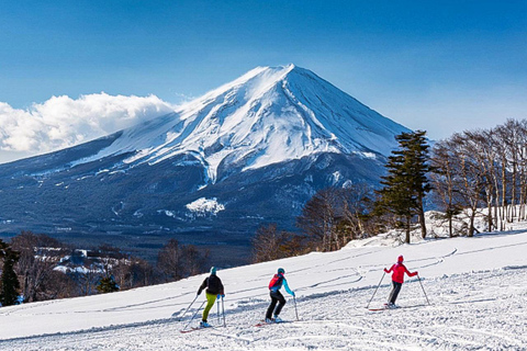 From Tokyo: Fujiyama Snow Resort Yeti Winter Ski Day TourB (SKI + LIFT PASS): meeting at Shinjuku