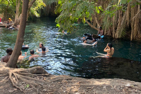 Arusha/Moshi Hot Springs Tour (Chemka) von Kingstone Asilia