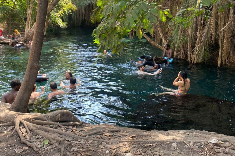 Visite d&#039;une jounée des sources d&#039;eau chaude et du café avec Kingstone Asilia