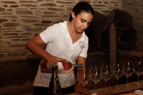 Porto: Douro Valley: An authentic Wine experience with Lunch Guided tour in Spanish with Meeting Point