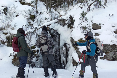 Pyrenees: Family Snowshoe Tour and Igloo Building
