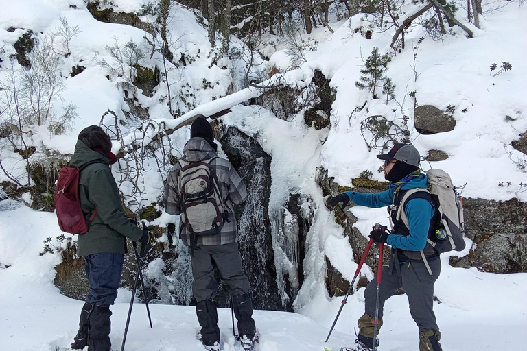 Pyrenees: Family Snowshoe Tour and Igloo Building