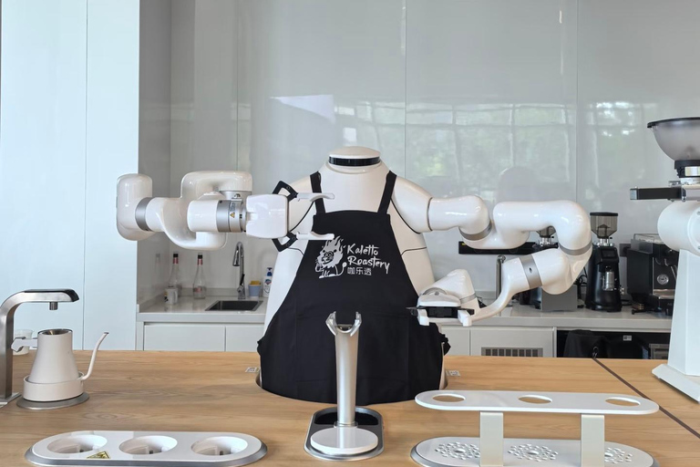 Shanghai: Futuristic AI & Tech Experience Tour