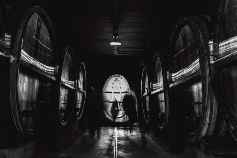 Visita guiada a la bodega, degustación y comida a bordoTour en francés