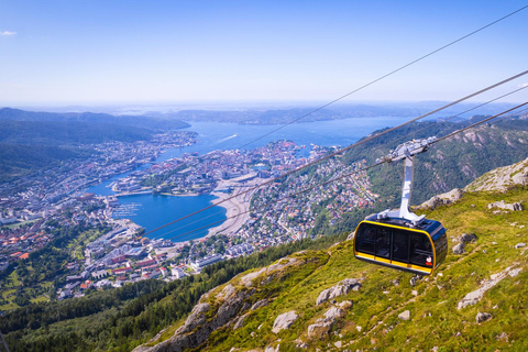 Bergen: Ulriken & Fløyen Tour (Cruise Friendly)