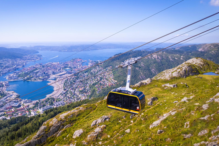 Bergen: Ulriken & Fløyen Tour (Cruise Friendly)