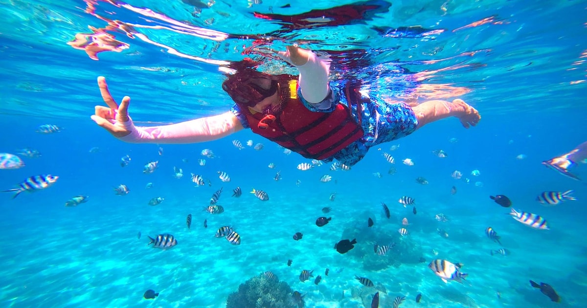 Da Nang/Hoi An: Cham Islands Snorkeling Trip with Lunch