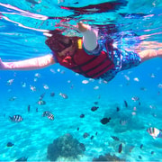Da Nang/Hoi An: Cham Islands Snorkeling Trip with Lunch