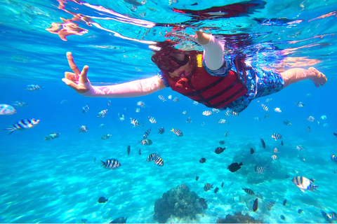Da Nang/Hoi An: Cham Islands Snorkeling Trip with Lunch Da Nang/Hoi An: Cham Islands Snorkeling Trip with Lunch