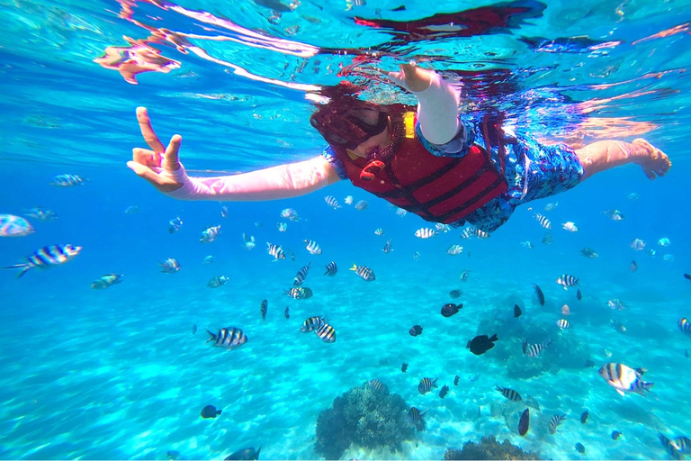 Da Nang/Hoi An: Cham Islands Snorkeling Trip with Lunch Da Nang/Hoi An: Cham Islands Snorkeling Trip with Lunch