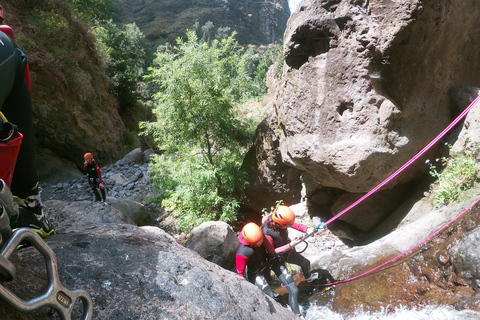 Madeira Island: Canyoning Tour Moderate Canyoning Tour Madeira - Level 2 (Advanced)