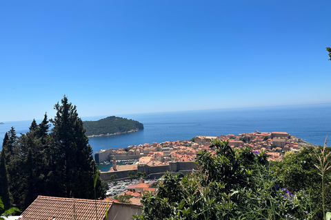 من تيرانا/دوريس: رحلة ليوم واحد إلى ساحل الجبل الأسود ودوبروفنيك