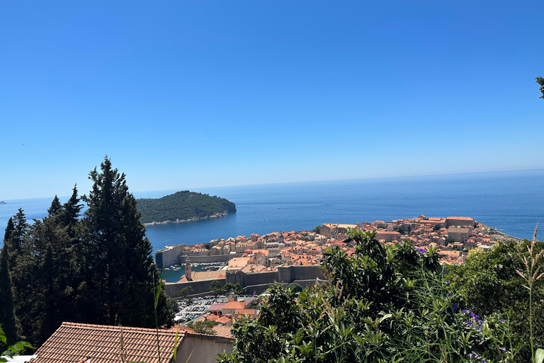 من تيرانا/دوريس: رحلة ليوم واحد إلى ساحل الجبل الأسود ودوبروفنيك