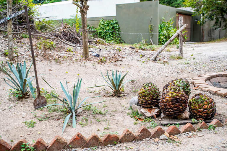 Signatur stadsvandring: Den privata upplevelsenSignature Stadsvandring: Den privata upplevelsen