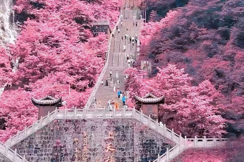 Zhangjiajie: Tianmen Mountain Private Day Tour & Lunch