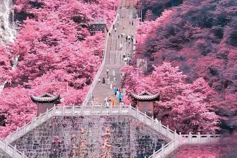 Zhangjiajie: Tianmen Mountain Private Day Tour & Lunch
