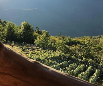 Caucasus: Wine Cellars Tour in Microzones of Racha-Lechkhumi
