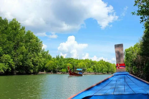 From Ko Lanta: Mangrove Eco-Excursion by Longtail Boat