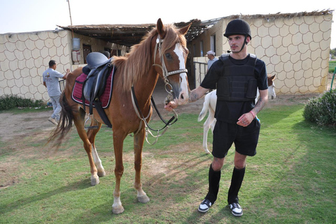 Hurghada: Camel Ride & horse ride and Off-Road Jeep Tour pickup from hotels inside hurghada