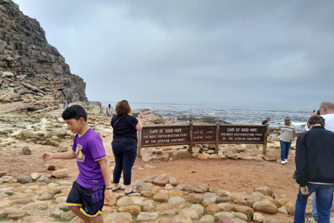 Robben Island, Penguins & Cape of Good Hope Adventure