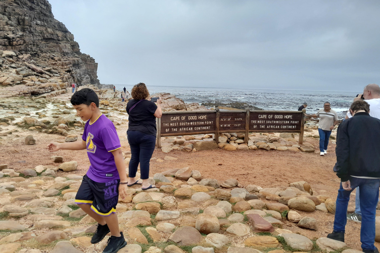 Robben Island, Penguins & Cape of Good Hope Adventure