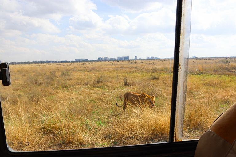 Nairobi National Park, Giraffe Center, Orpanage &amp; Bomas Trip