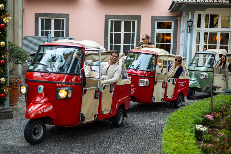 Funchal: Tuk Tuk Tour to the Most Breathtaking Viewpoints