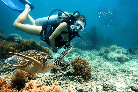 Visita às ilhas Cham e mergulho com snorkel e autônomoExcursão em grupo