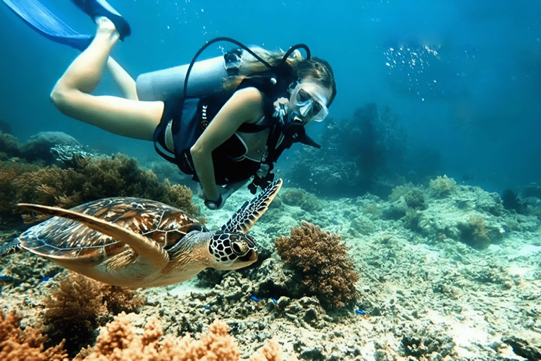 Från Da Nang/ Hoi An: Chamöarna &amp; snorkling eller dykningGruppresa